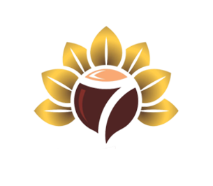 طراحی و توسعه وب 17 logo